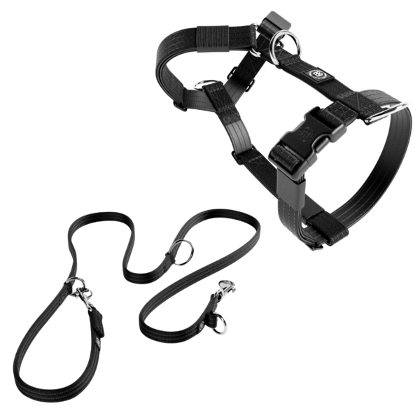 Mini Tri Harness And Training Lead Bundle Black