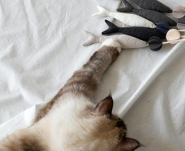 Fish and Chews Teaser Toy