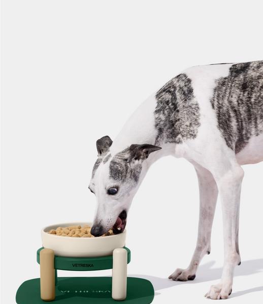 Santal Forest Ceramic Pet Bowl and Mat Set