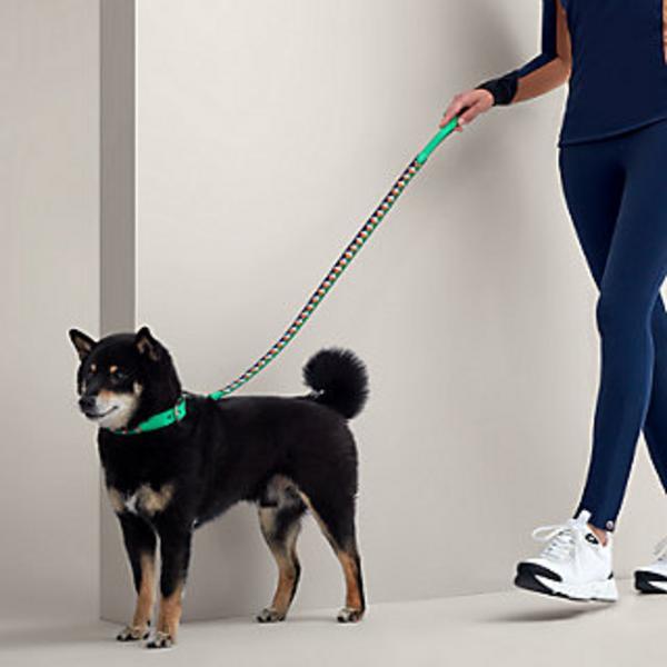 Slim Colorful Calfskin Leash