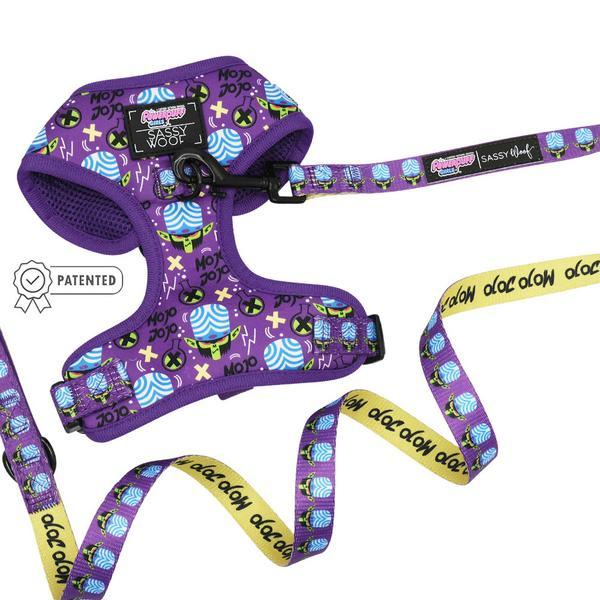 Two Piece Bundle Harness And Leash