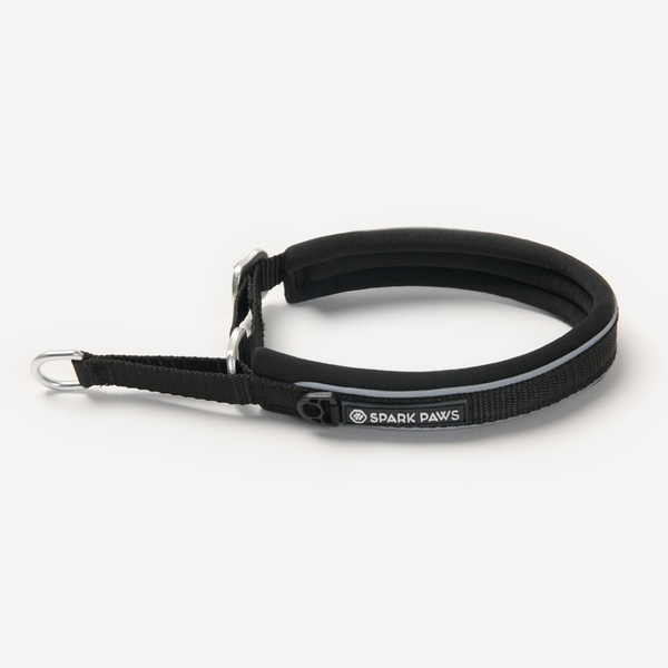 Martingale Collar Black