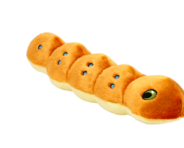 Spicy Caterpillar Plush Toy