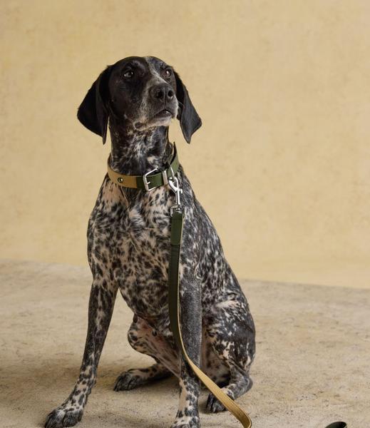 Khaki Green Leather Lead