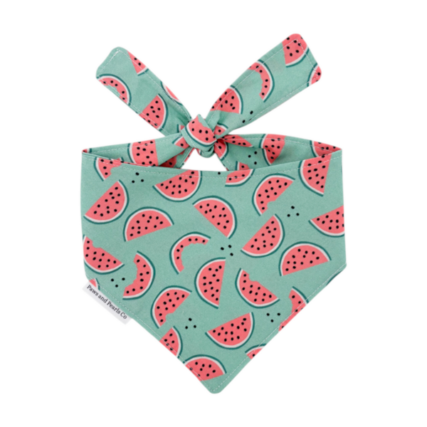 Watermelon Bandana