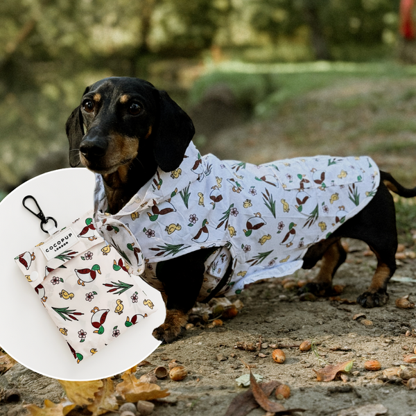 Puddle Pup Raincoat