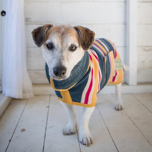 Design Collection Drying Coat Beach