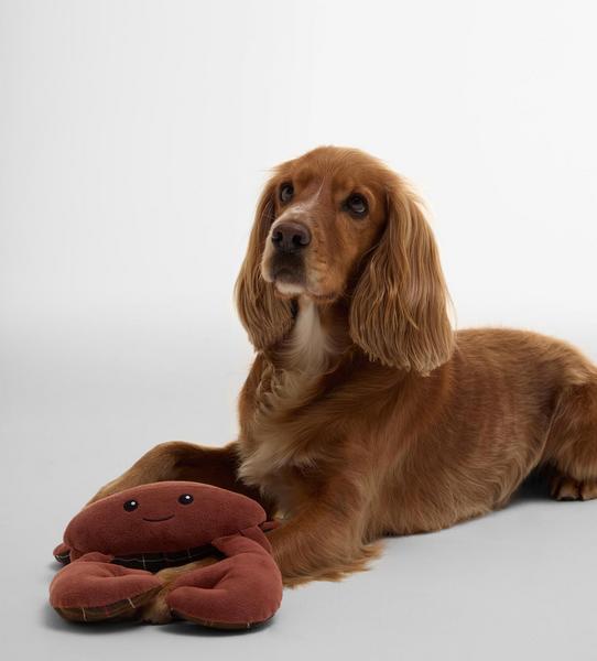 Crab Pet Toy