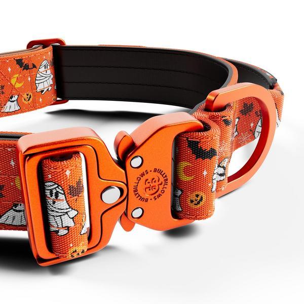 Combat Agility Collar And Mini Lead Bundle