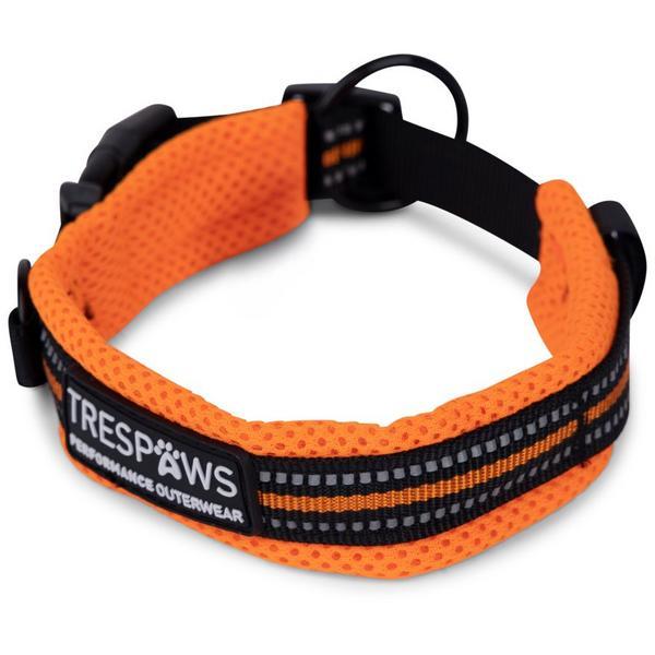 Reflective Padded Collar Sunrise