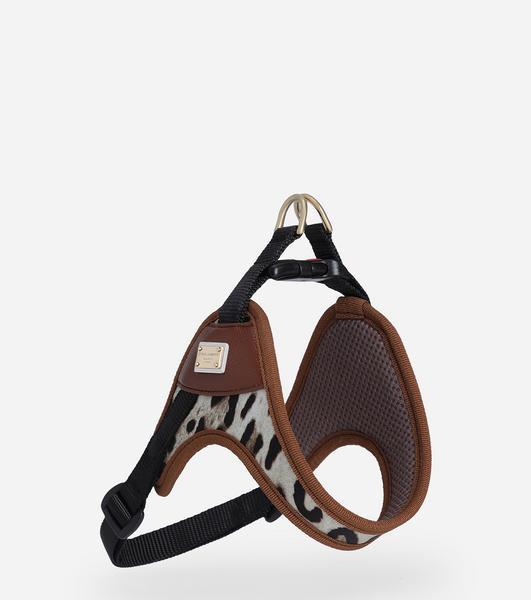 Harness