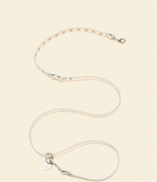 You Mean The World To Me Leash Silver