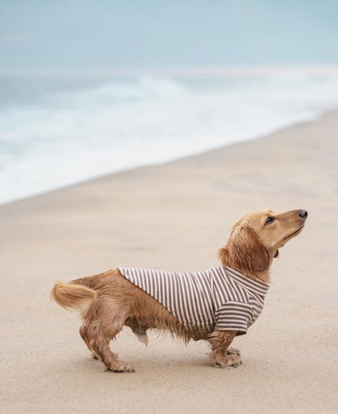Soft Striped Turtleneck