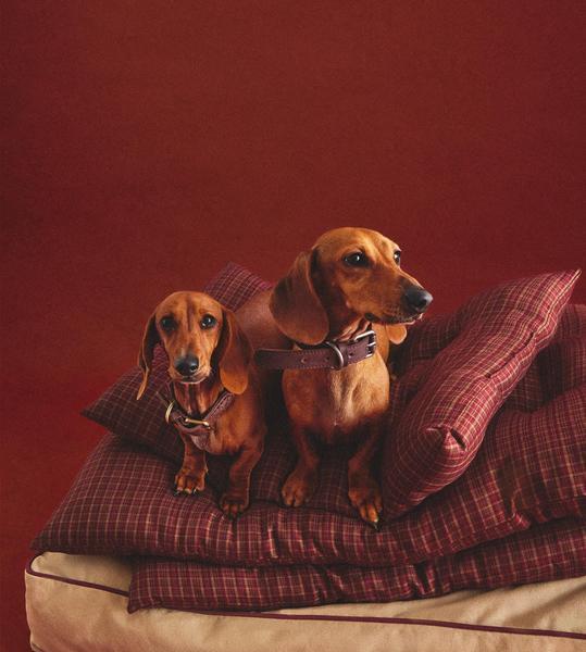 Christmas Check Pet Floor Cushion