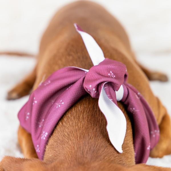 Bandana Flower Print