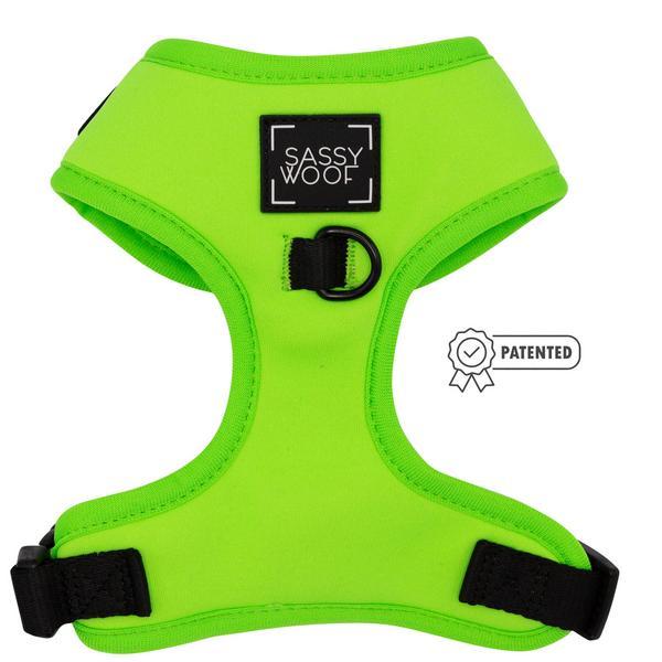 Adjustable Harness - Neon Green
