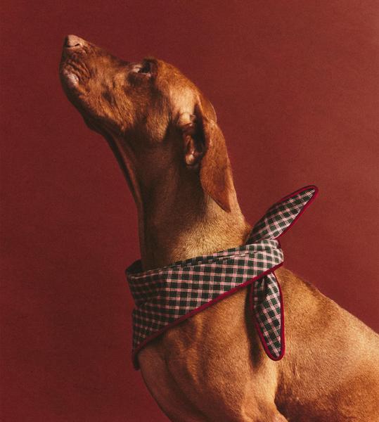 Christmas Cotton Check Pet Bandana
