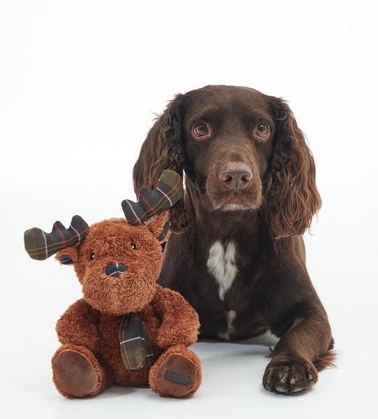 Reindeer Toy